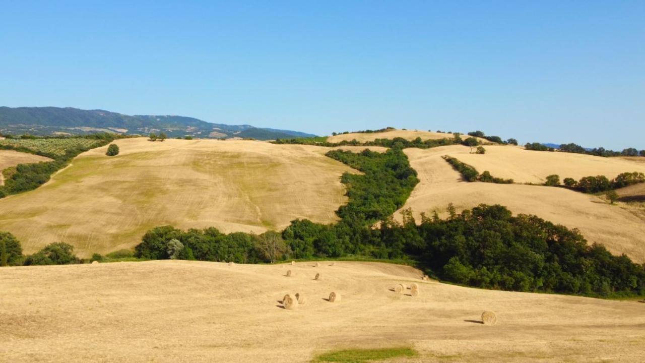 Glamping Le Dune Cinigiano Dış mekan fotoğraf