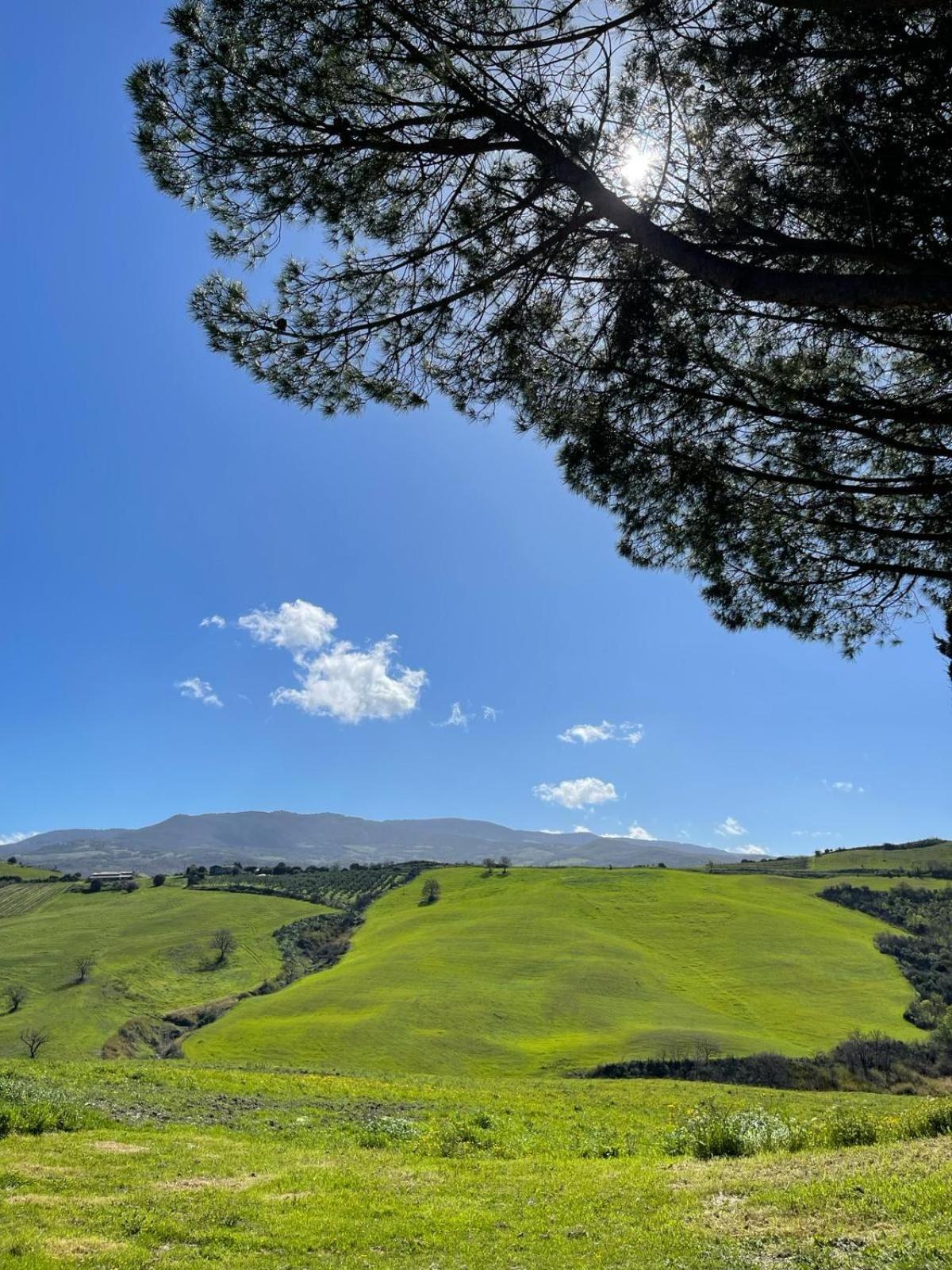 Glamping Le Dune Cinigiano Dış mekan fotoğraf