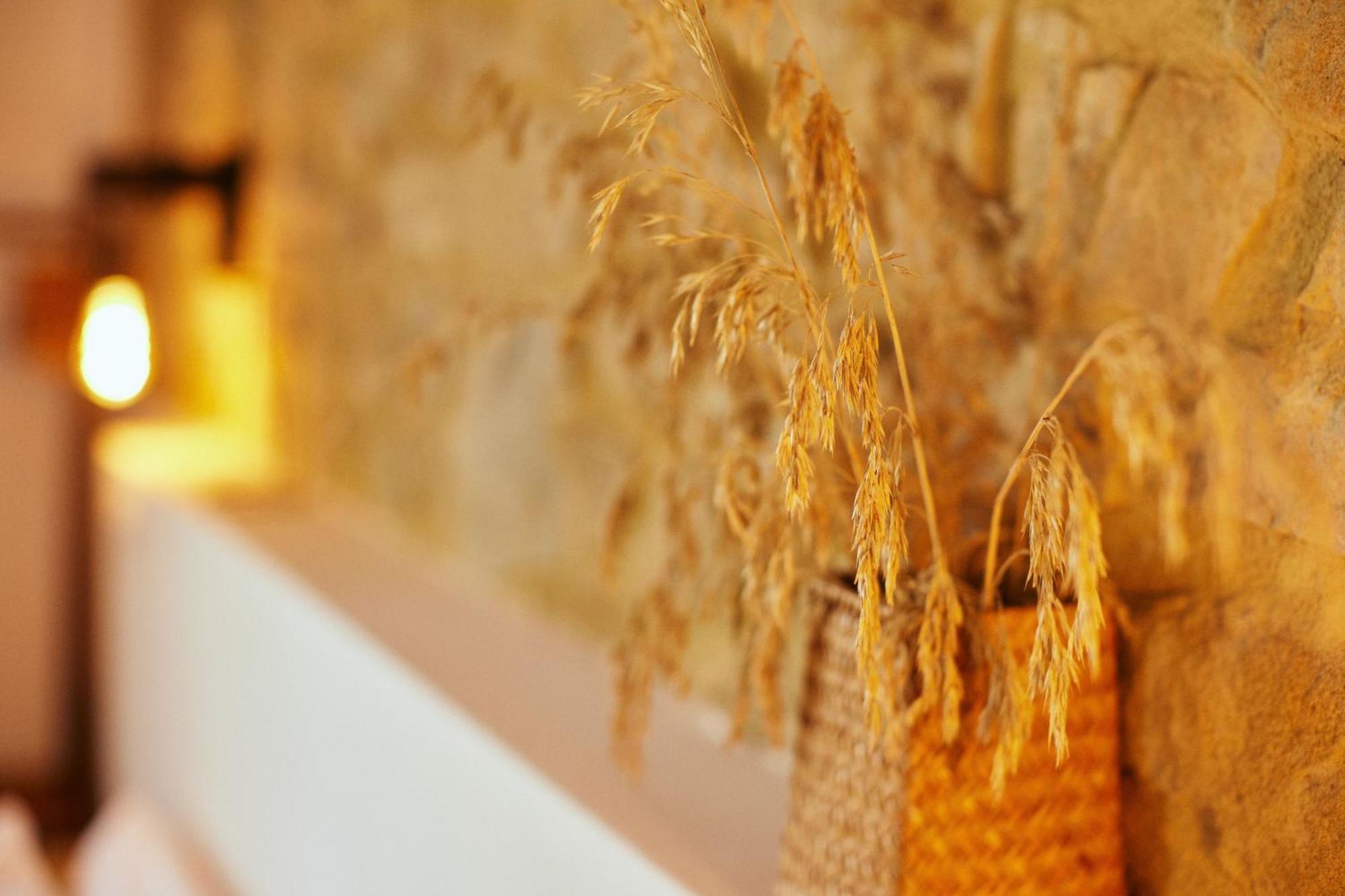 Glamping Le Dune Cinigiano Dış mekan fotoğraf